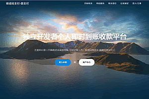 A0291商业正版源码/个人即时到账收款平台源码/微信支付宝接口