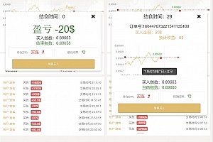 A0308站长亲测源码-白色UI新版币圈完美运行美元币圈+安装教程+已接支付